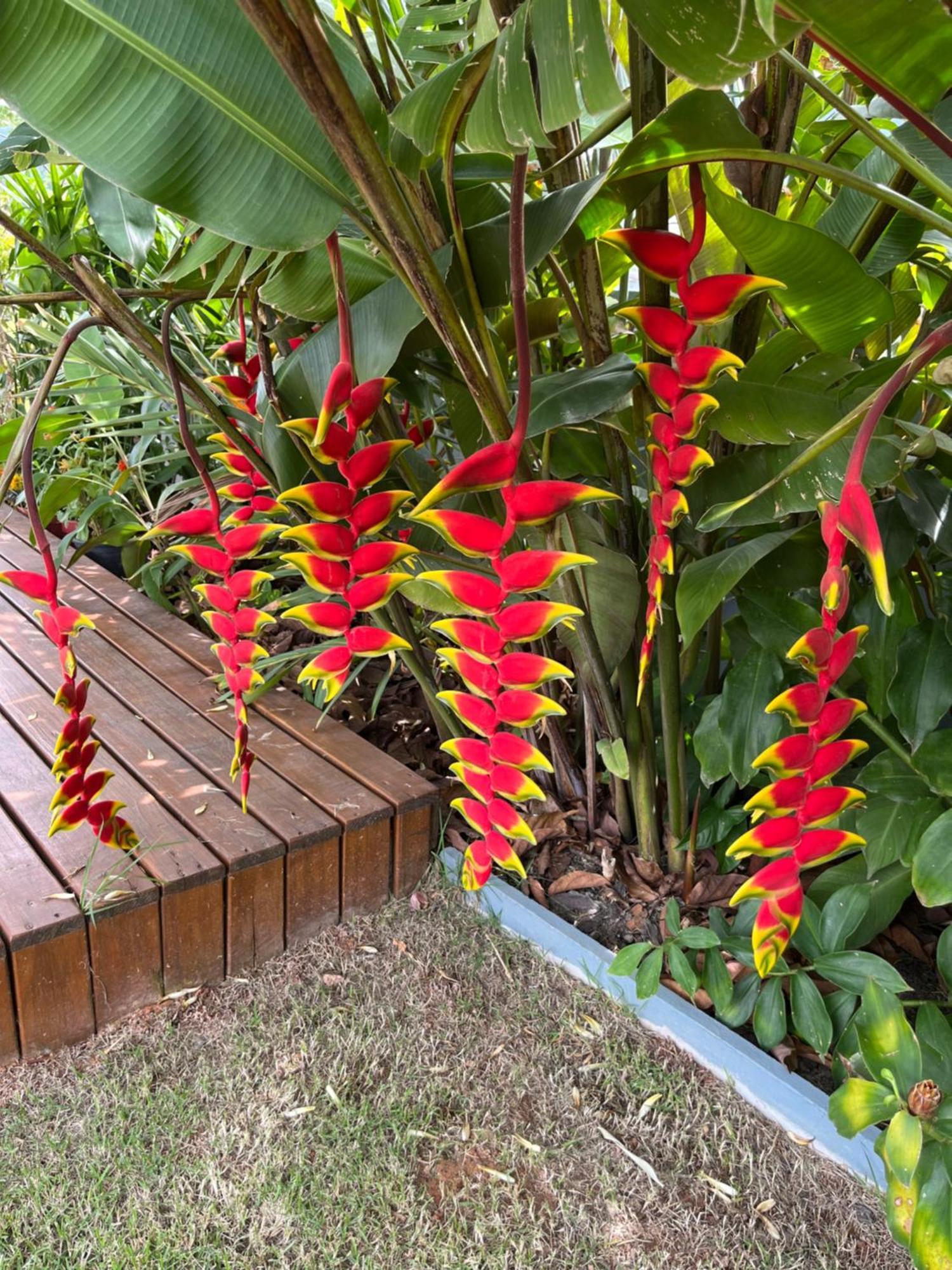 Bella Pousada Pomerode Luaran gambar